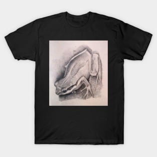 Southern Brown Tree Frog - Drawing by Avril Thomas - South Australian Artist T-Shirt